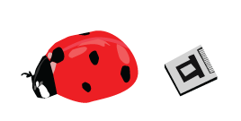 A ladybug and an accelerometer. Sizes are approximate.